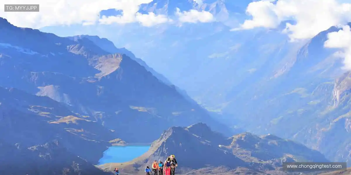 👕球迷专属，限量发售！穿上热爱，为偶像打 call🎁